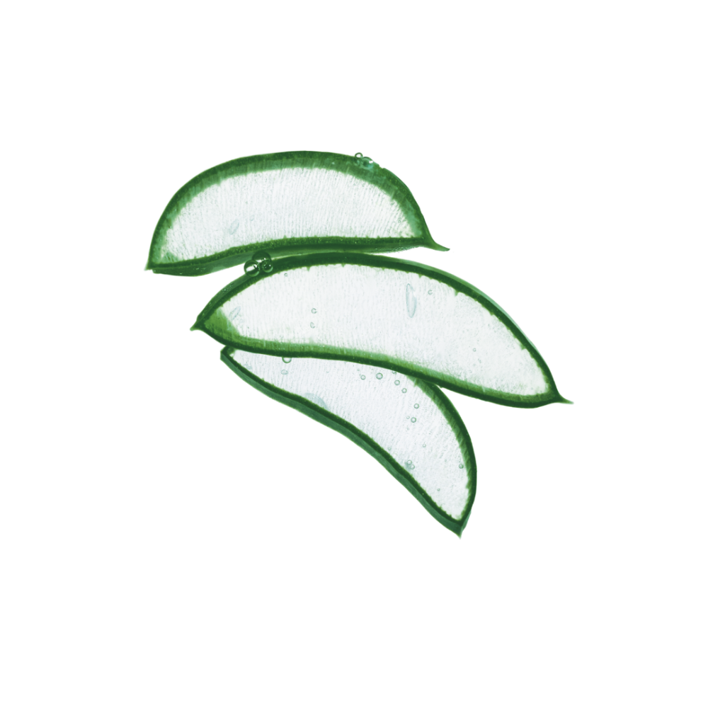 Schwarzkopf Professional Bonacure Moisture Kick – Șampon cu aloe vera și moringă pentru păr uscat
