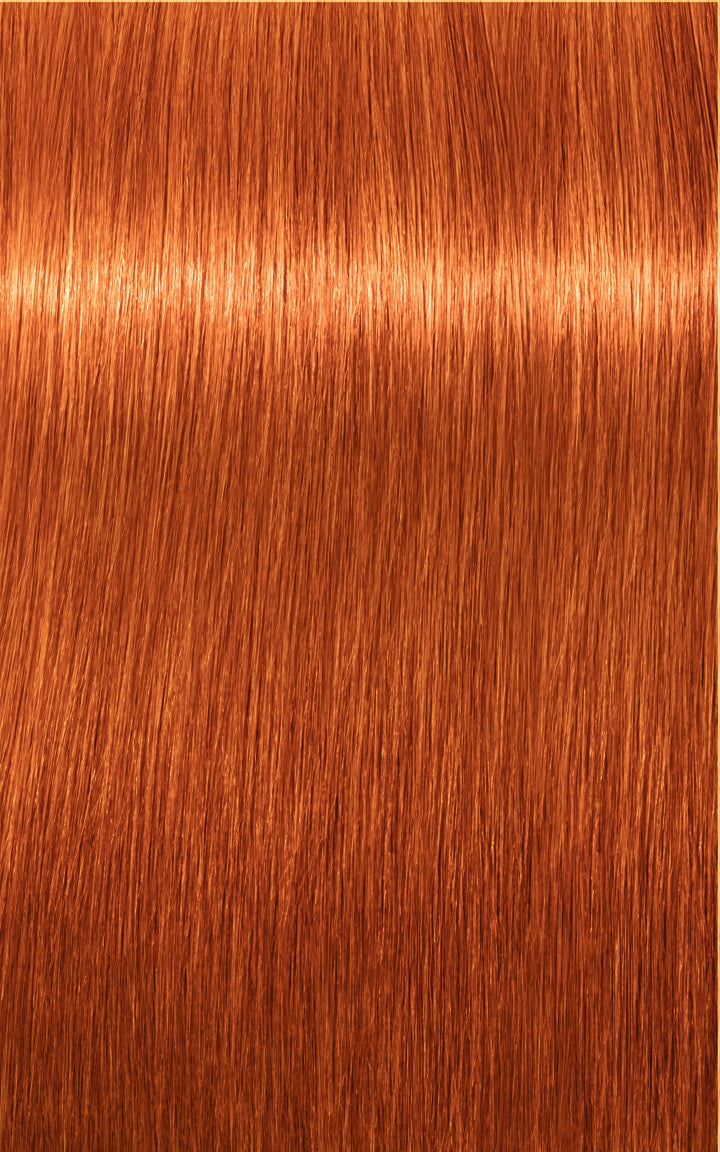 Schwarzkopf Professional Igora Royal Tartós Hajfesték 60ml Intenzív és Tartós Szín