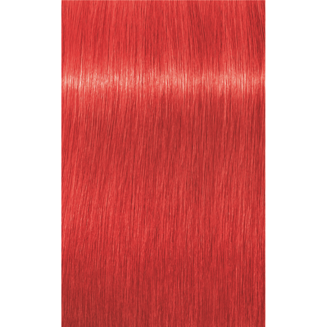 Schwarzkopf Professional Igora Royal Tartós Hajfesték 60ml Intenzív és Tartós Szín