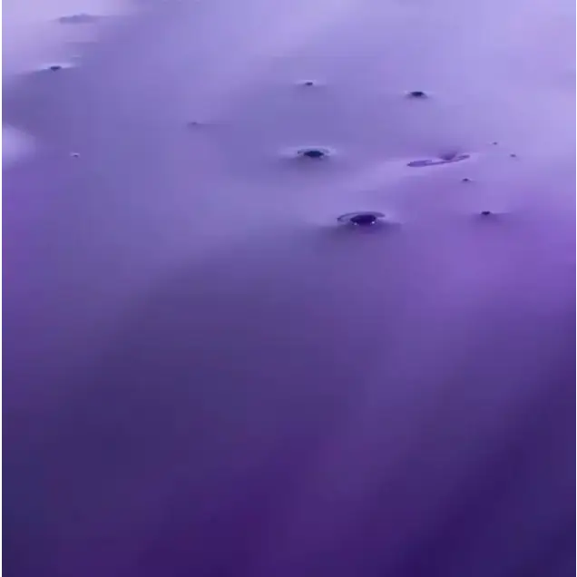 Milk Shake Silver Shine – Professzionális Lila Sampon Szőke Ősz vagy Fehér Hajra 1000ml – Ezüstös Fény Sárgás