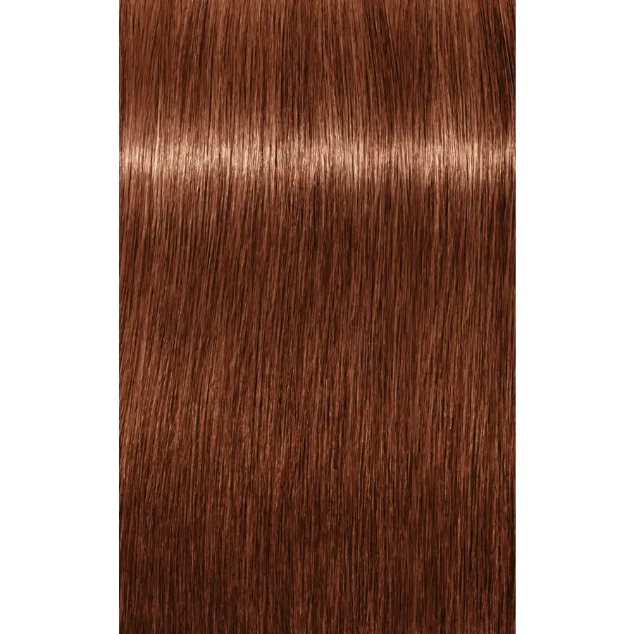 Vopsea De Păr Permanenentă Pentru Fire Albe Schwarzkopf Professional Igora Royal Absolutes 60ml - 7.56 Blond Mediu