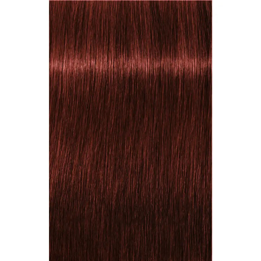 Vopsea De Păr Permanenentă Pentru Fire Albe Schwarzkopf Professional Igora Royal Absolutes 60ml - 6.80 Blond Închis