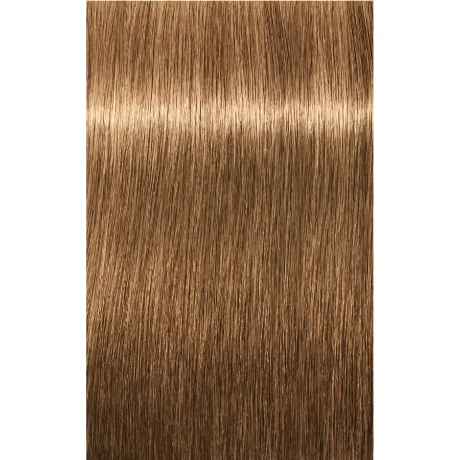 Vopsea De Păr Permanenentă Pentru Fire Albe Schwarzkopf Professional Igora Royal Absolutes 60ml - 8.50 Blond Deschis