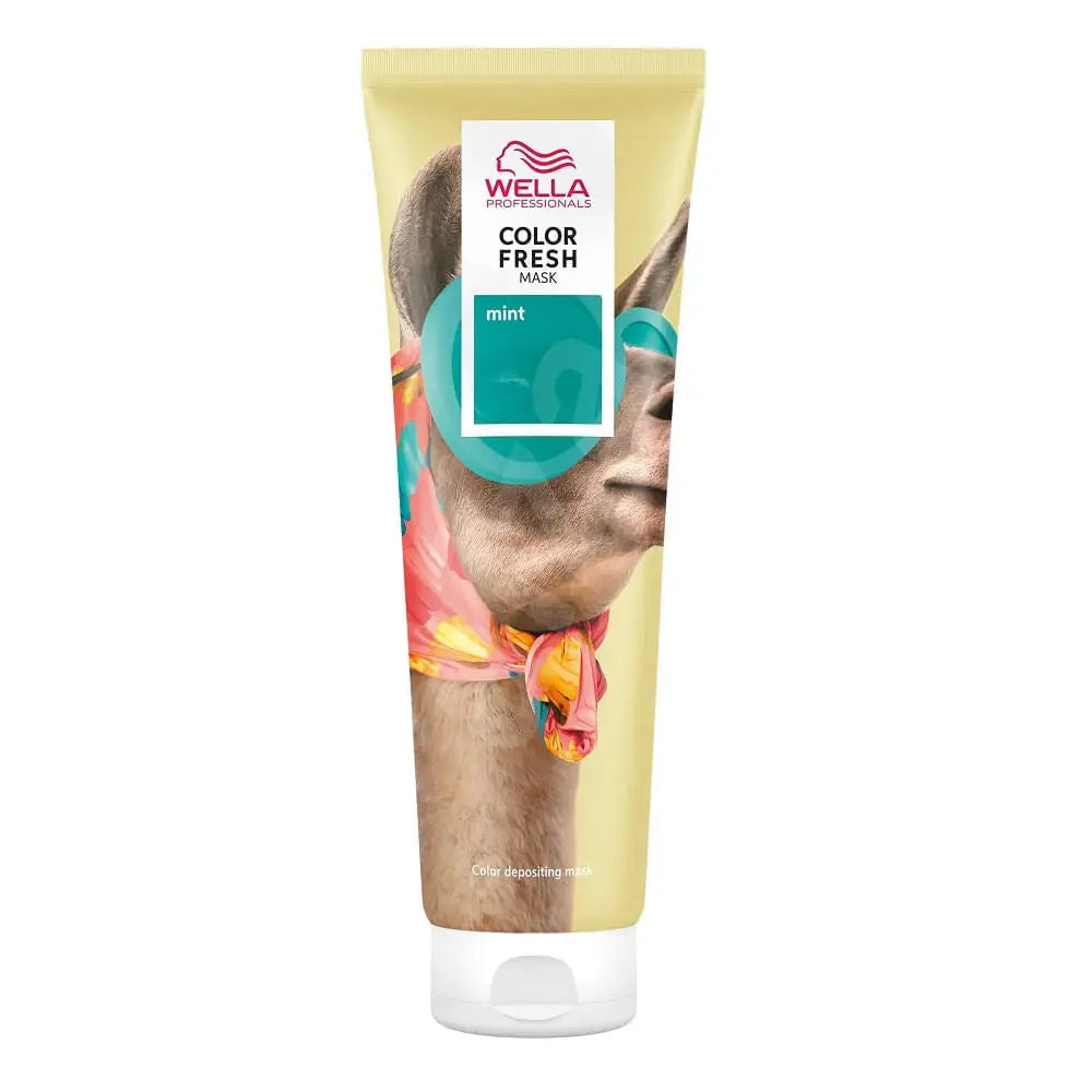 Wella Color Fresh Create Mask - Haj