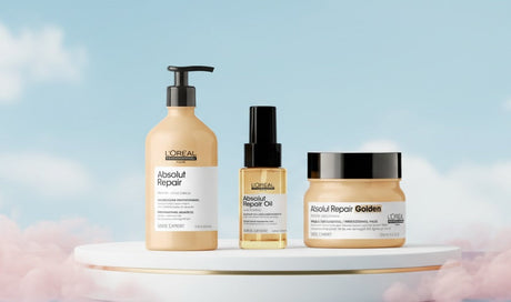 Absolut Repair