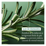 Biolage Full Rescue Invigorating Scalp Serum Fejbőrszérum 50 ml