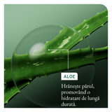 Biolage Hydra Source – Hidratáló balzsam Aloe Verával és Hialuronsavval minden hajtípusra, 236 ml