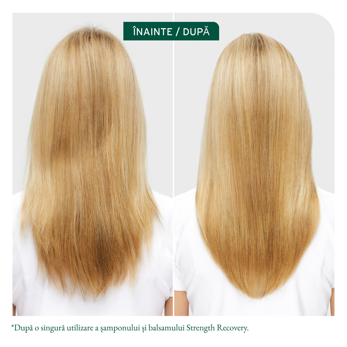 Biolage Strength Recovery Professzionális Erősítő Balzsam 236 ml