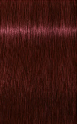 Schwarzkopf Professional Igora Royal Tartós Hajfesték 60ml Intenzív és Tartós Szín