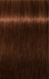 Schwarzkopf Professional Igora Royal Tartós Hajfesték 60ml Intenzív és Tartós Szín