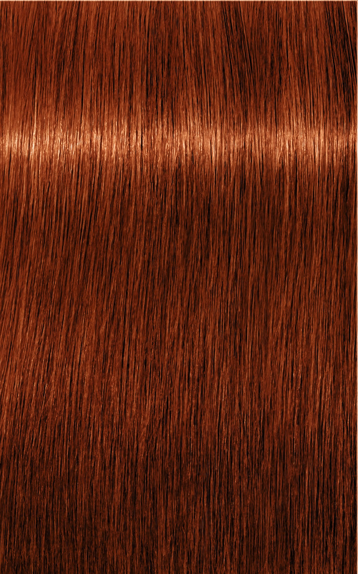 Schwarzkopf Professional Igora Royal Tartós Hajfesték 60ml Intenzív és Tartós Szín