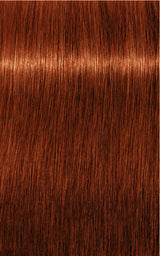 Schwarzkopf Professional Igora Royal Tartós Hajfesték 60ml Intenzív és Tartós Szín