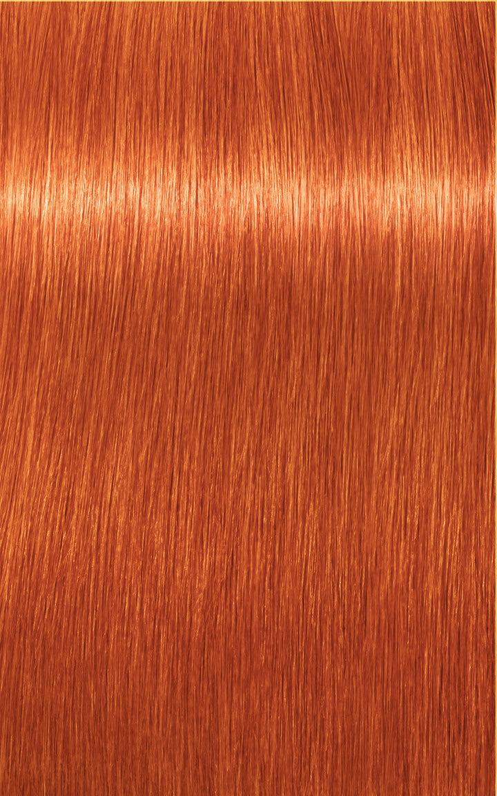 Schwarzkopf Professional Igora Royal Tartós Hajfesték 60ml Intenzív és Tartós Szín