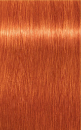 Schwarzkopf Professional Igora Royal Tartós Hajfesték 60ml Intenzív és Tartós Szín
