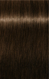 Schwarzkopf Professional Igora Royal Tartós Hajfesték 60ml Intenzív és Tartós Szín