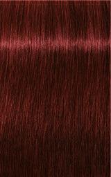 Schwarzkopf Professional Igora Royal Tartós Hajfesték 60ml Intenzív és Tartós Szín
