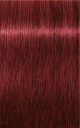 Schwarzkopf Professional Igora Royal Tartós Hajfesték 60ml Intenzív és Tartós Szín