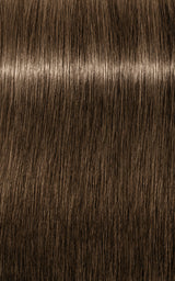 Schwarzkopf Professional Igora Royal Tartós Hajfesték 60ml Intenzív és Tartós Szín