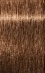 Schwarzkopf Professional Igora Royal Tartós Hajfesték 60ml Intenzív és Tartós Szín