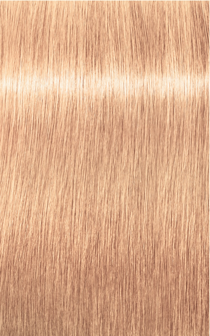 Schwarzkopf Professional Igora Royal Tartós Hajfesték 60ml Intenzív és Tartós Szín