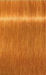 Schwarzkopf Professional Igora Royal Tartós Hajfesték 60ml Intenzív és Tartós Szín