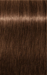 Schwarzkopf Professional Igora Royal Tartós Hajfesték 60ml Intenzív és Tartós Szín