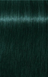 Schwarzkopf Professional Igora Royal Tartós Hajfesték 60ml Intenzív és Tartós Szín