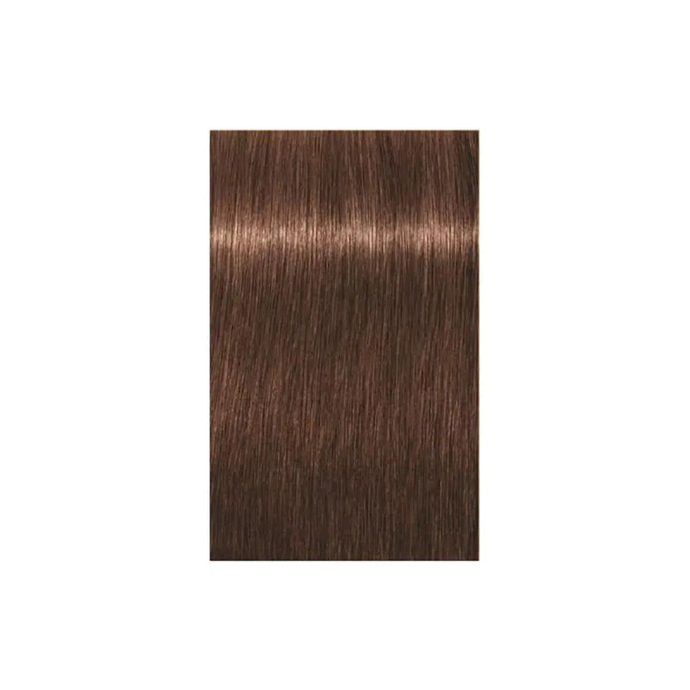 Schwarzkopf Professional Igora Royal Tartós Hajfesték 60ml Intenzív és Tartós Szín