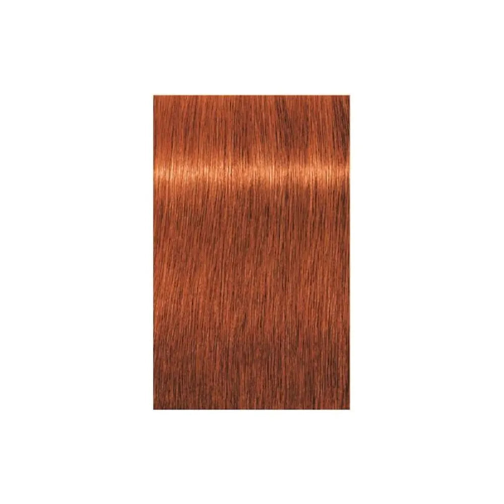 Schwarzkopf Professional Igora Royal Tartós Hajfesték 60ml Intenzív és Tartós Szín