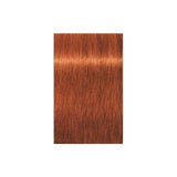 Schwarzkopf Professional Igora Royal Tartós Hajfesték 60ml Intenzív és Tartós Szín