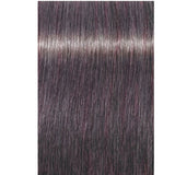 Schwarzkopf Professional Igora Royal Tartós Hajfesték 60ml Intenzív és Tartós Szín