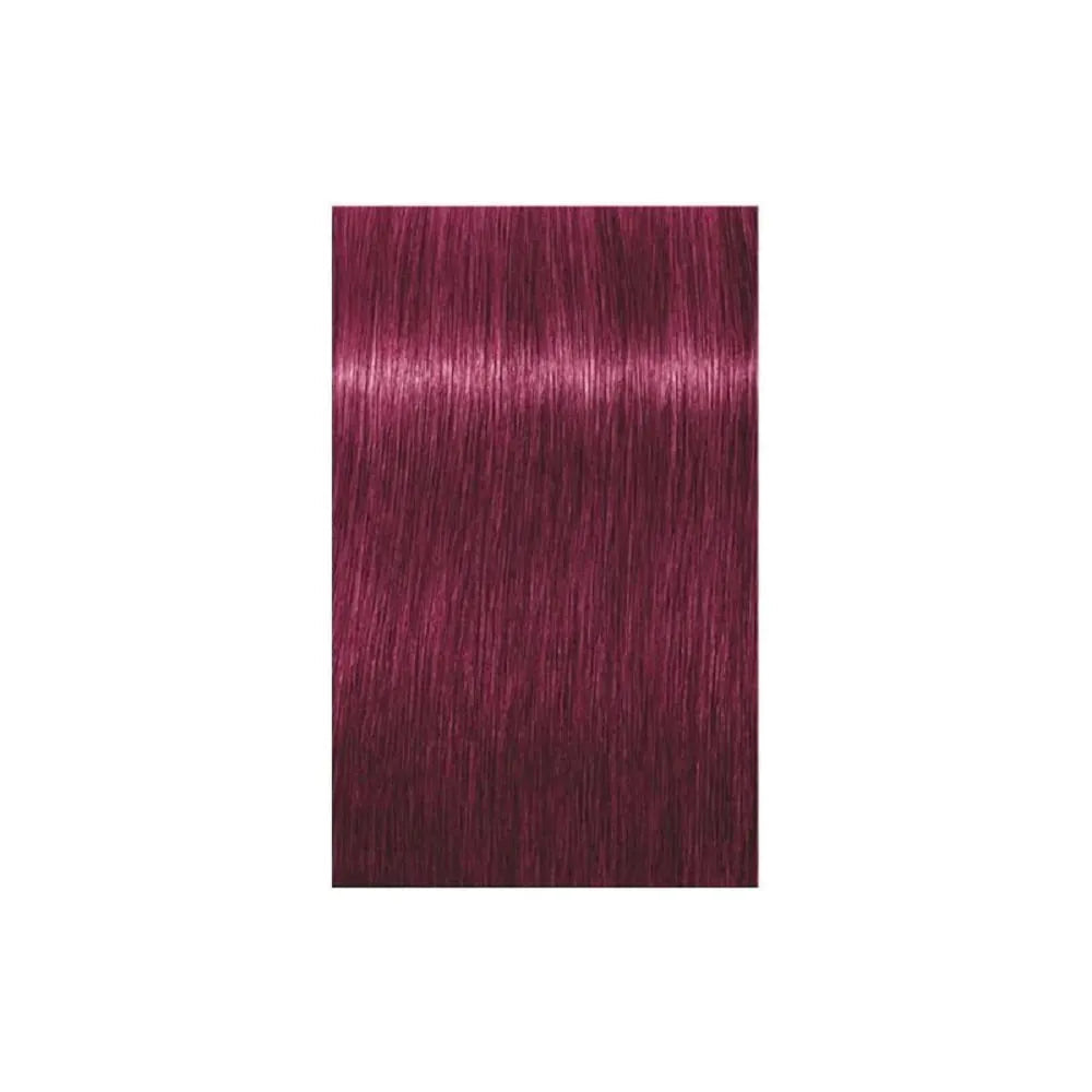 Schwarzkopf Professional Igora Royal Tartós Hajfesték 60ml Intenzív és Tartós Szín