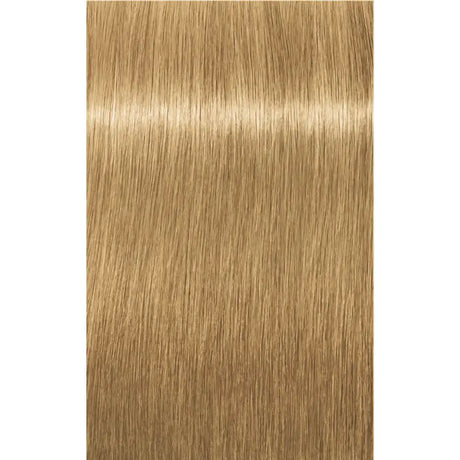 Indola Blonde Expert Highlifts 60ml - 60 ml / 1000.03 Blond Special Extra Deschis Natural Bej - Păr