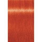 INDOLA PCC VOPSEA DE PĂR CU AMONIAC 60ML - 60 ml / 9.44 Blond Foarte Deschis Cupru Intens - Păr