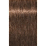 INDOLA PCC VOPSEA DE PĂR CU AMONIAC 60ML - 60 ml / 6.83 Blond Închis Mocha Auriu - Păr