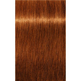 Vopsea De Păr Permanenentă Pentru Fire Albe Schwarzkopf Professional Igora Royal Absolutes 60ml - 7.70 Blond Mediu