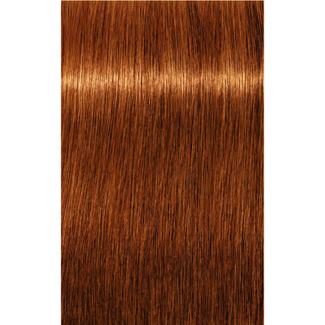 Vopsea De Păr Permanenentă Pentru Fire Albe Schwarzkopf Professional Igora Royal Absolutes 60ml - 7.70 Blond Mediu