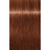 Vopsea De Păr Permanenentă Pentru Fire Albe Schwarzkopf Professional Igora Royal Absolutes 60ml - 7.56 Blond Mediu