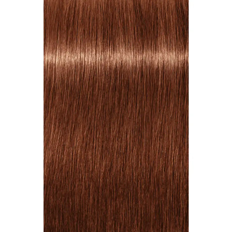 Vopsea De Păr Permanenentă Pentru Fire Albe Schwarzkopf Professional Igora Royal Absolutes 60ml - 7.56 Blond Mediu