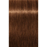 Vopsea De Păr Permanenentă Pentru Fire Albe Schwarzkopf Professional Igora Royal Absolutes 60ml - 7.60 Blond Mediu