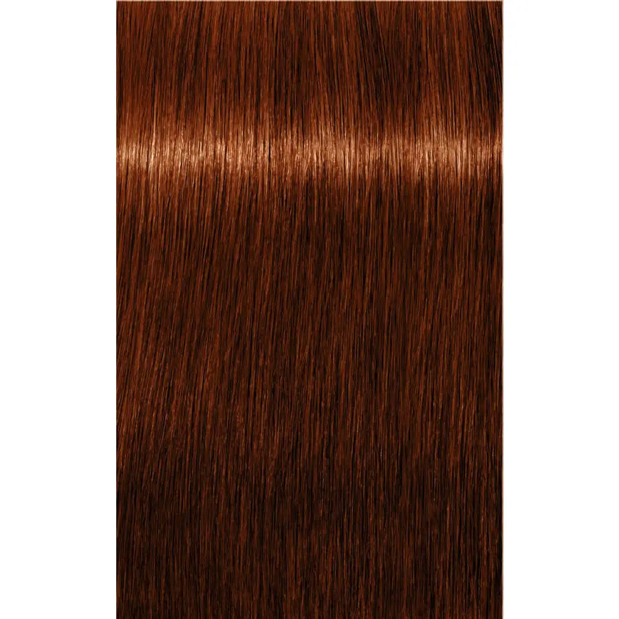 Vopsea De Păr Permanenentă Pentru Fire Albe Schwarzkopf Professional Igora Royal Absolutes 60ml - 6.70 Blond Închis