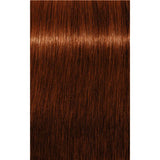 Vopsea De Păr Permanenentă Pentru Fire Albe Schwarzkopf Professional Igora Royal Absolutes 60ml - 6.70 Blond Închis