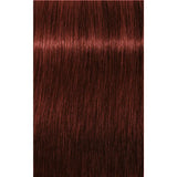 Vopsea De Păr Permanenentă Pentru Fire Albe Schwarzkopf Professional Igora Royal Absolutes 60ml - 6.80 Blond Închis