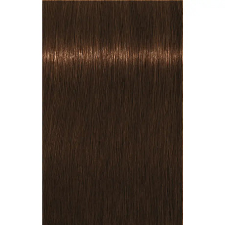 Vopsea De Păr Permanenentă Pentru Fire Albe Schwarzkopf Professional Igora Royal Absolutes 60ml - 7.460 Blond Mediu