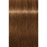 Vopsea De Păr Permanenentă Pentru Fire Albe Schwarzkopf Professional Igora Royal Absolutes 60ml - 7.45 Blond Mediu