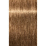 Vopsea De Păr Permanenentă Pentru Fire Albe Schwarzkopf Professional Igora Royal Absolutes 60ml - 8.50 Blond Deschis